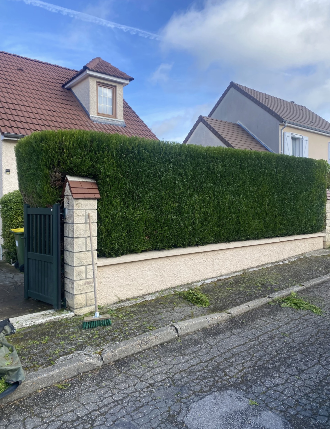 Taille de haie et entretien de jardin