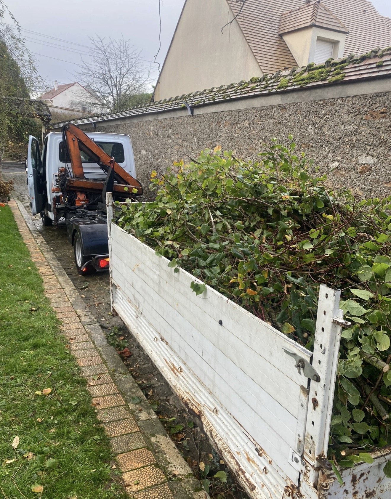 Travaux de taille et entretien de jardin