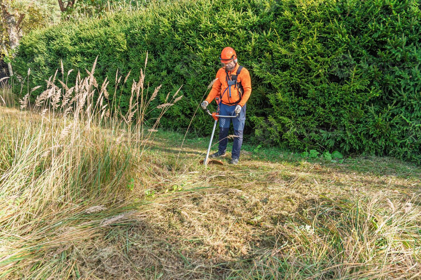 Débroussaillage et entretien de terrain
